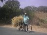 04ody_india04