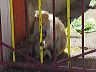 04ody_india18