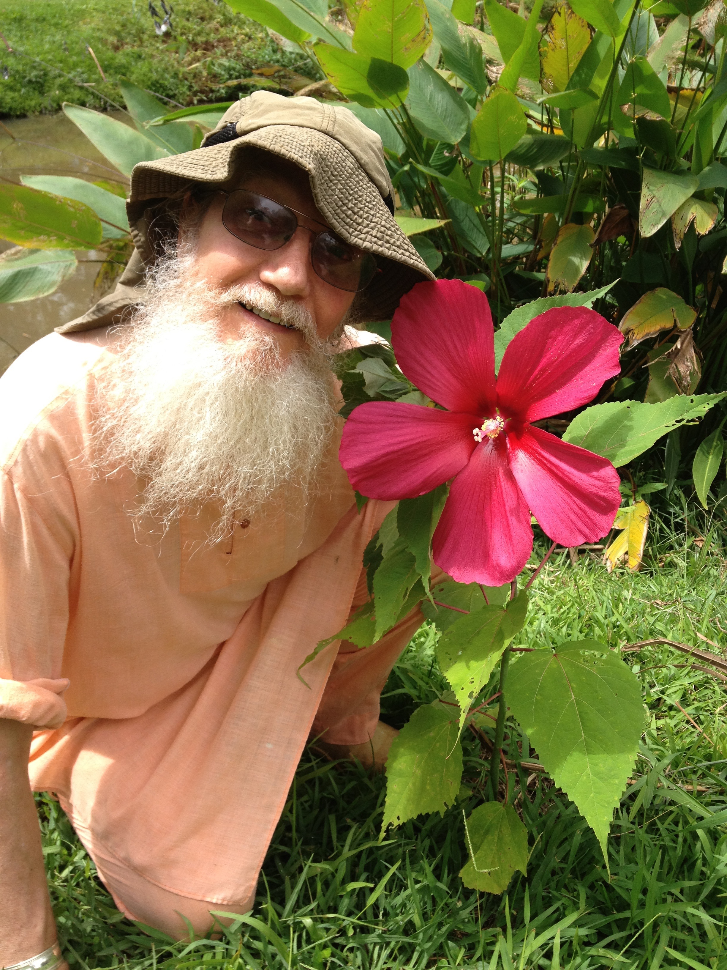Giant Hibiscus in Siva's Garden