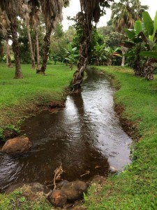 Twitter Update: After three and three-quarters years, the water in...