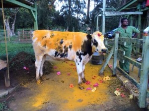 Twitter Update: http://t.co/0wLG5iqSfY