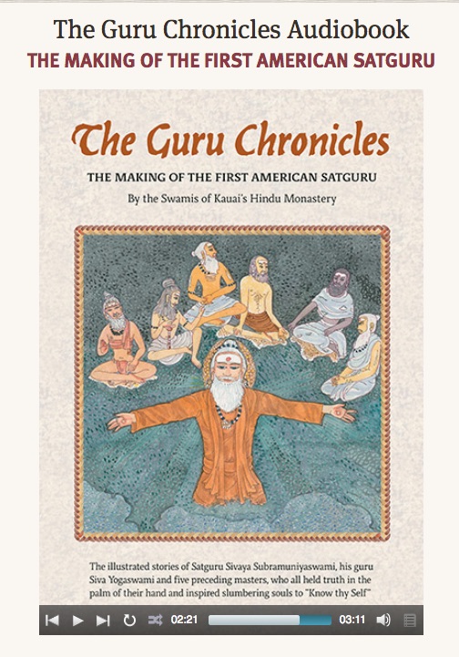 GuruChronicles Audio Book