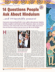 Image of Insight: 14 Questions About Hinduism