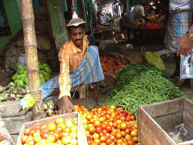 04ody_india53.jpg
