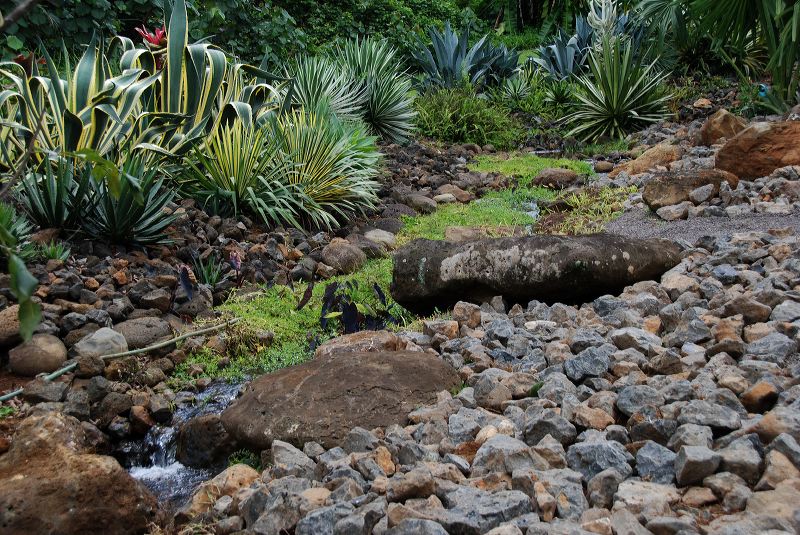 desert_garden_arid05.jpg