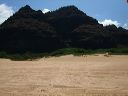 03polihale_2008