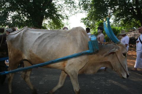 201girivalam.jpg