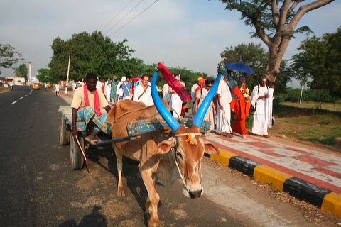204girivalam.jpg