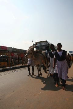 235girivalam.jpg