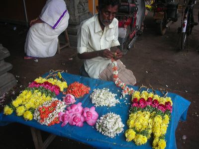 11rameshwaram_day_two.jpg