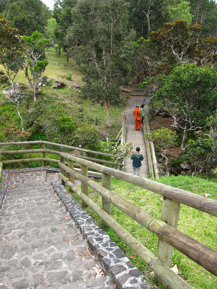 \"Image