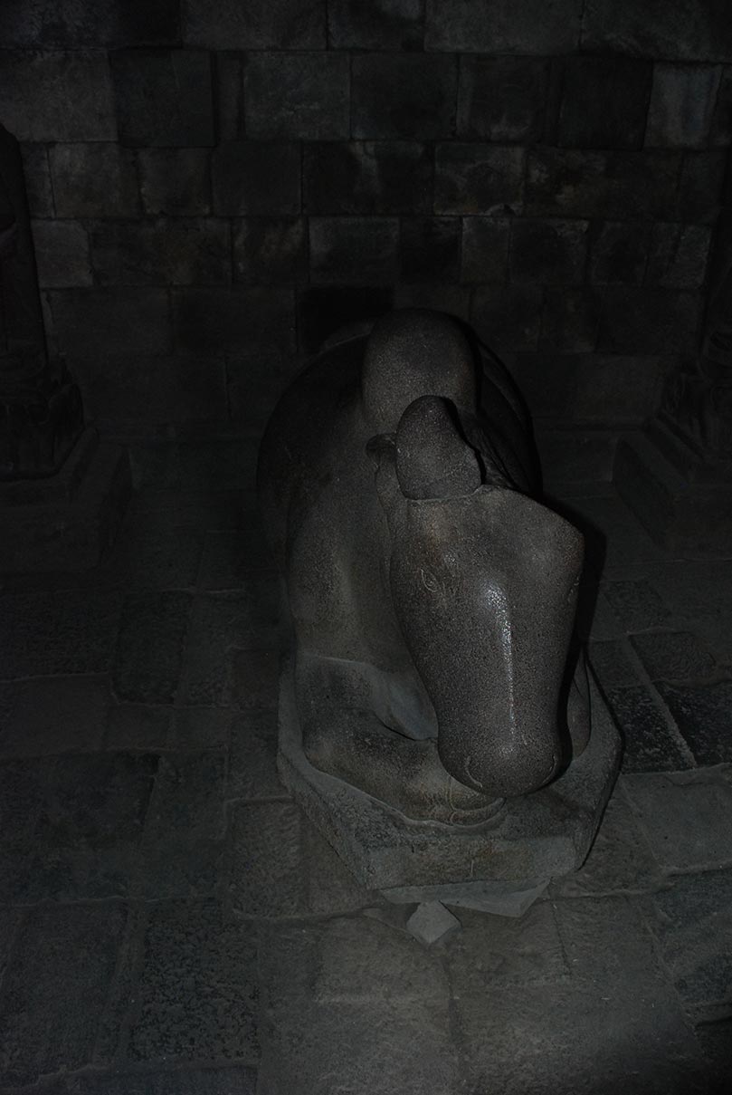 \"Image
