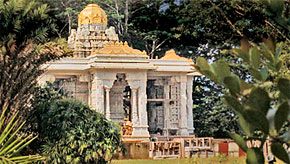 temple amidst greenery