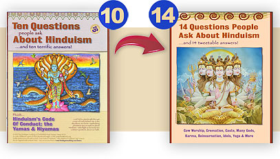 The newly published 14 questions booklet