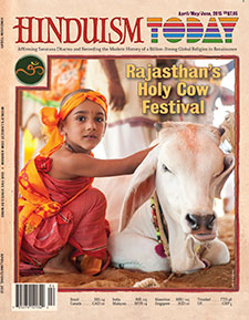 Cover of current issue showing happy boy and cow