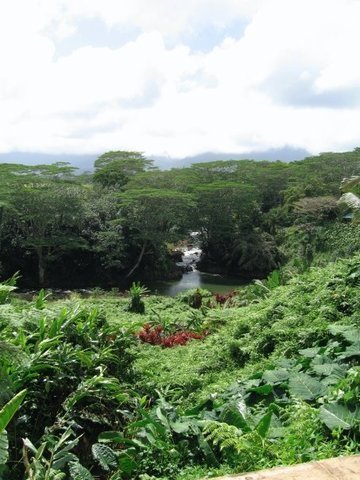 Nature Photos from Michelle Mellicker