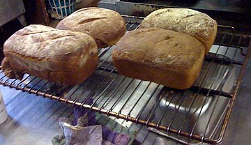 The Search for the Perfect Loaf