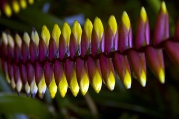 Through the Eye of the Photographer