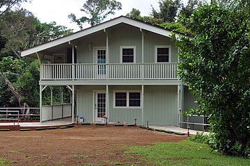 Bodhinatha Leaves for Houston