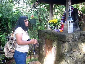 Tour Days This Phase