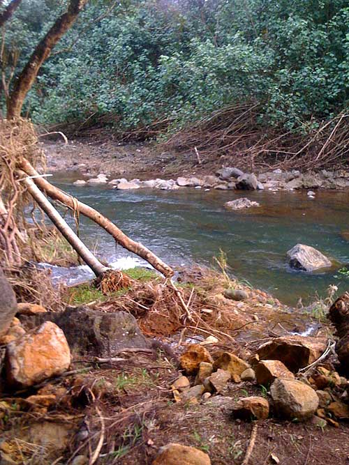 Bali Hai Resurrection