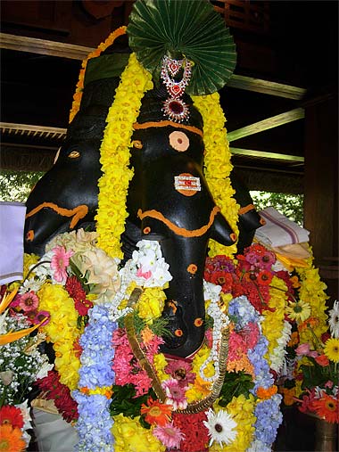 February 2009 Ganesha Homa at Spiritual Park