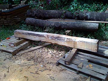 Peace Pole Under Construction