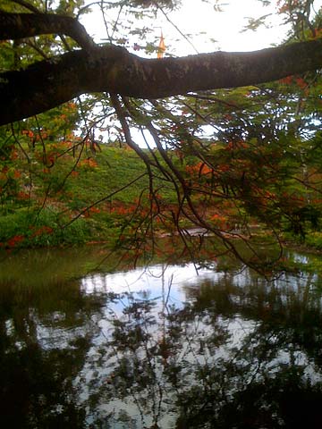 Walking Views from San Marga