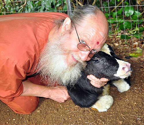 Little Teji Arrives in the Bhuloka