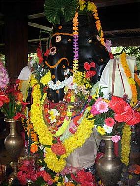 June Activities in Mauritius