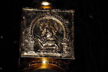 Golden Kodimaram in the Morning