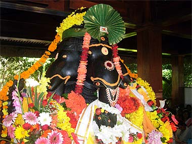Ganesha Homa March 2009, Spiritual Park
