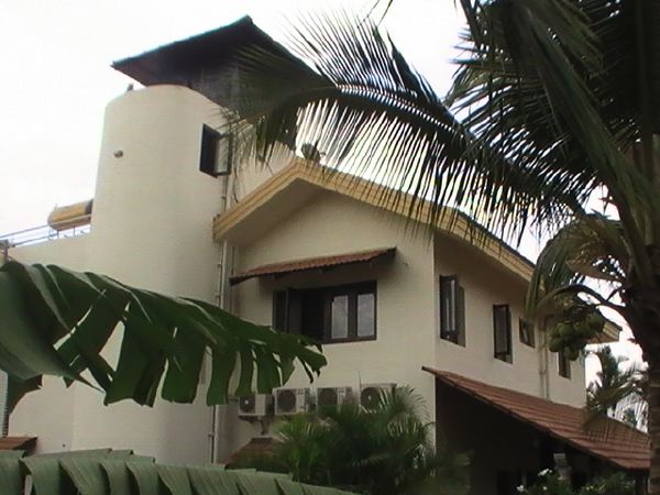 back_view-1.jpg