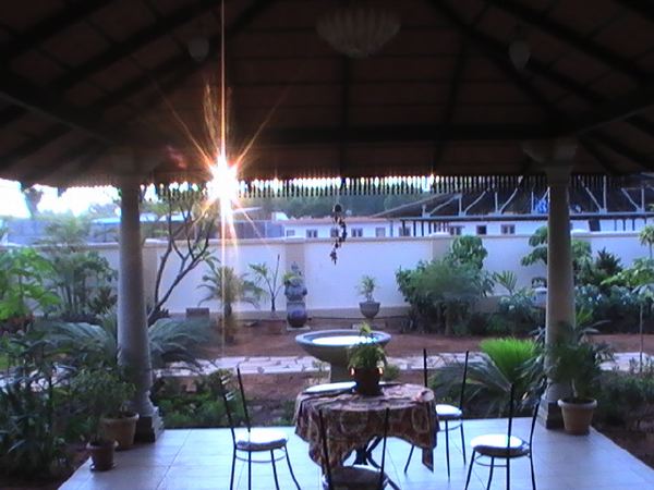 morning_sun.jpg
