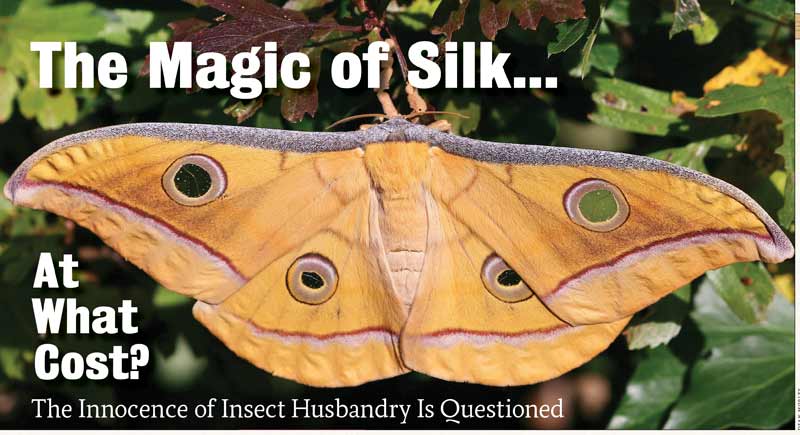 Hinduism Today January 2010