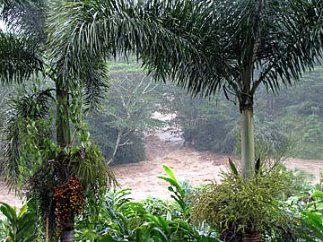 Varuna Takes Over the Aadheenam