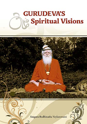 Gurudeva's Spiritual Visions