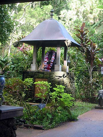 College Students Visit From Honolulu