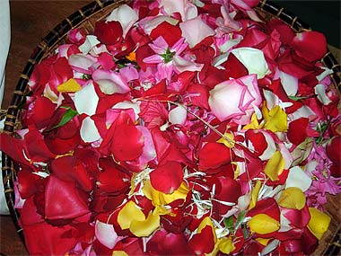 Ganesha Homa October 09- Mauritius Spiritual Park /Part 2