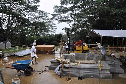 Kodimaram Form Placement