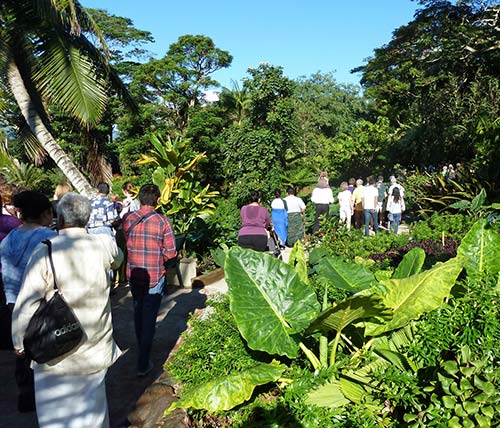 First Holiday Tour Day (Yesterday)