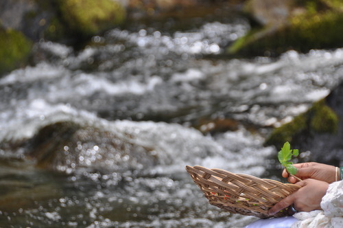 Innersearch Kauai 2010 Diary – Day Six