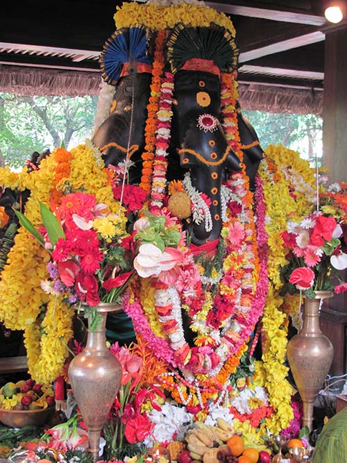 Ganesha February 2011 Homa Spiritual Park Mauritius