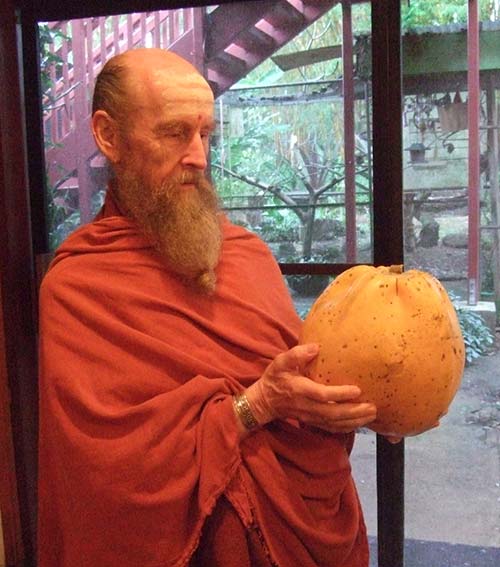 Wonders From the Aadheenam Farm - Giant Papaya