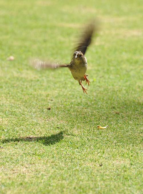 The Camera Makes the Photographer