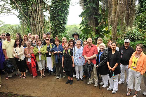 New Energy Humans On Tour