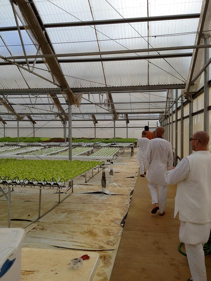 Siddhidata Kulam Visits Kauai Fresh Estates