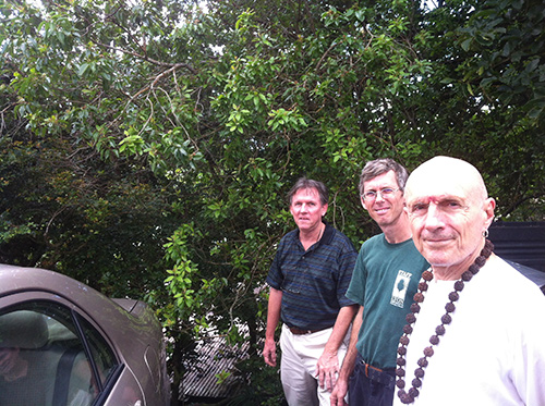 Lyon Arboretum Visit