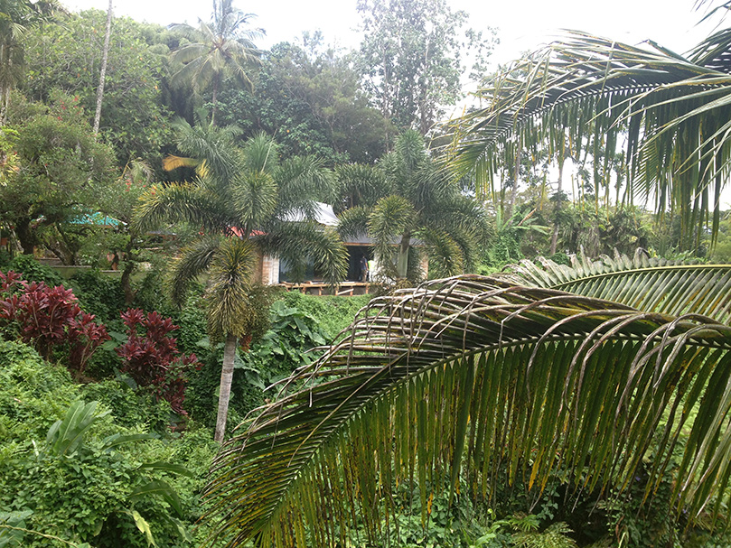 Glass Window Wall Installed