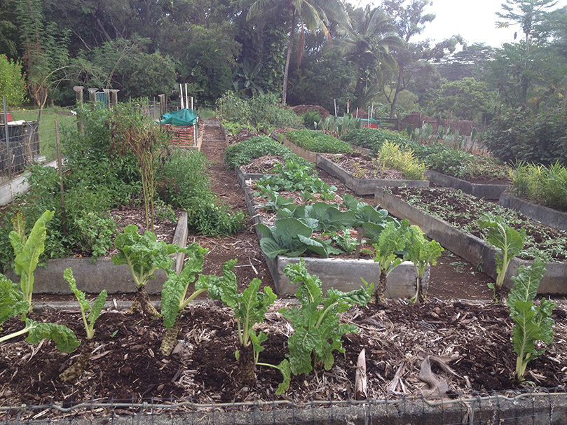 The Monastery Garden